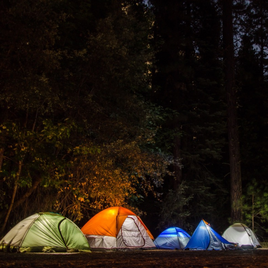 Family Camping - Nightly