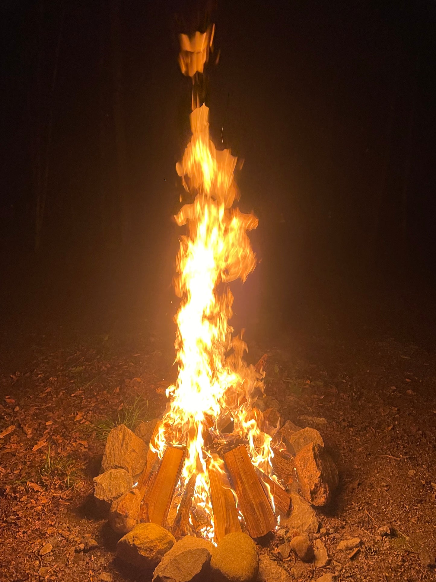 Crate of Firewood