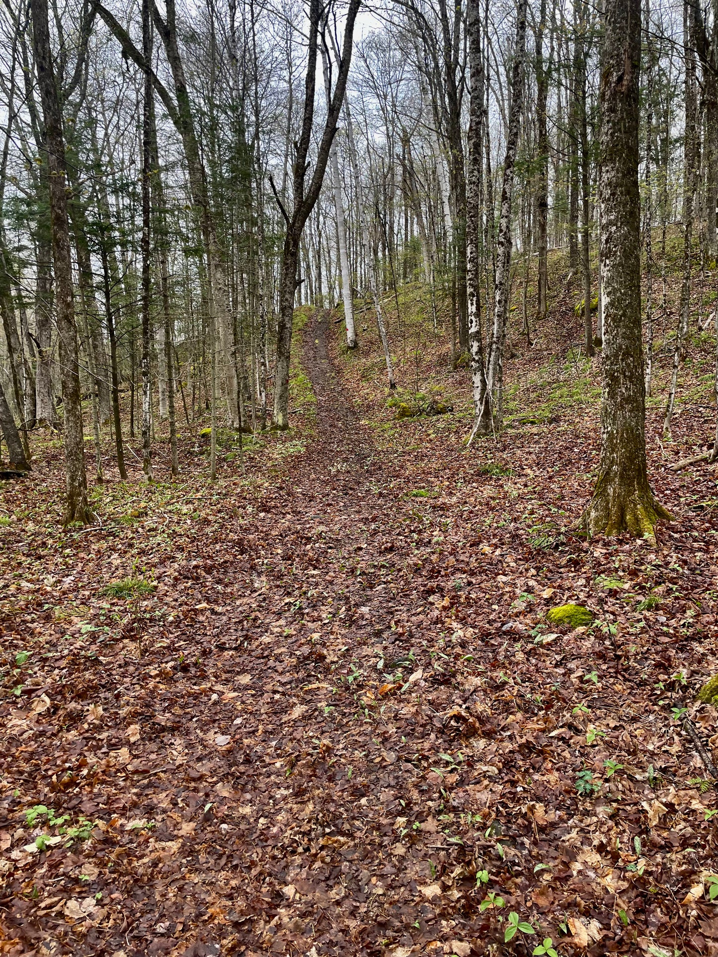 MWP Annual Hiking Pass - Additional Family Members