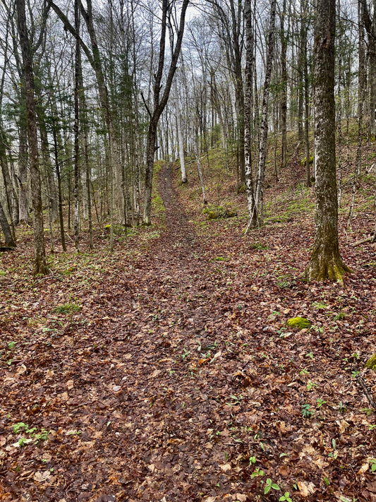 MWP Annual Hiking Pass - Individual/Head of Family